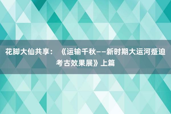 花脚大仙共享： 《运输千秋——新时期大运河蹙迫考古效果展》上篇