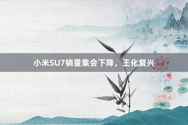 小米SU7销量集会下降，王化复兴