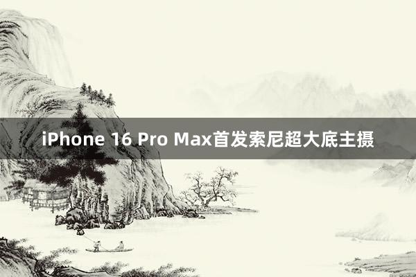 iPhone 16 Pro Max首发索尼超大底主摄