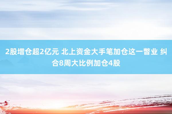 2股增仓超2亿元 北上资金大手笔加仓这一瞥业 纠合8周大比例加仓4股