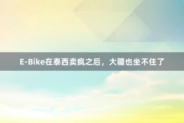 E-Bike在泰西卖疯之后，大疆也坐不住了