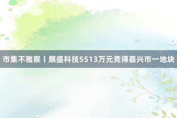 市集不雅察丨麒盛科技5513万元竞得嘉兴市一地块