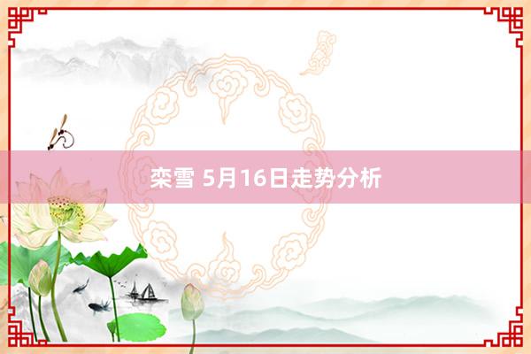 栾雪 5月16日走势分析