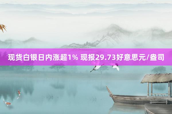 现货白银日内涨超1% 现报29.73好意思元/盎司