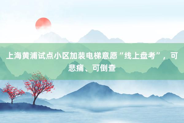 上海黄浦试点小区加装电梯意愿“线上盘考”，可悲痛、可倒查