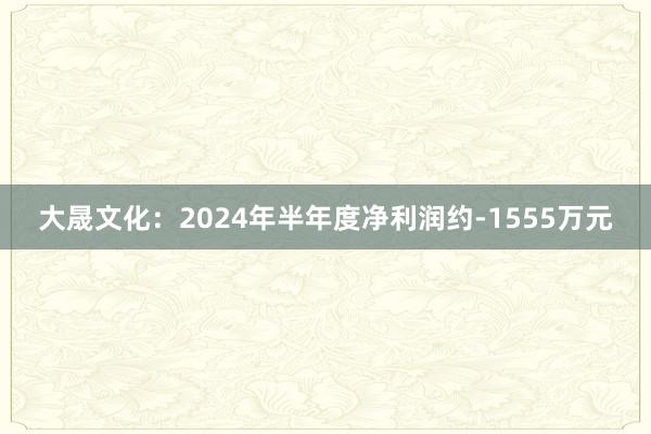 大晟文化：2024年半年度净利润约-1555万元