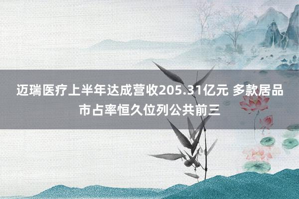 迈瑞医疗上半年达成营收205.31亿元 多款居品市占率恒久位列公共前三