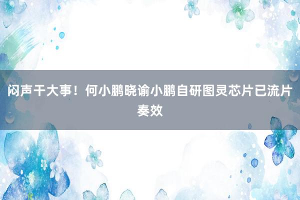 闷声干大事！何小鹏晓谕小鹏自研图灵芯片已流片奏效