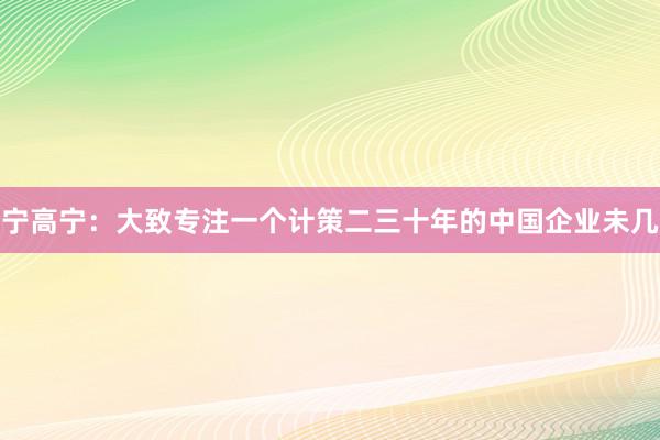 宁高宁：大致专注一个计策二三十年的中国企业未几