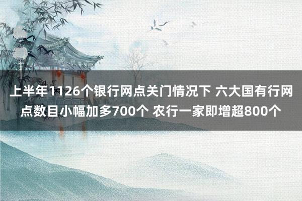 上半年1126个银行网点关门情况下 六大国有行网点数目小幅加多700个 农行一家即增超800个