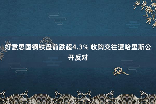 好意思国钢铁盘前跌超4.3% 收购交往遭哈里斯公开反对