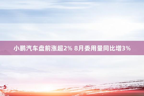 小鹏汽车盘前涨超2% 8月委用量同比增3%