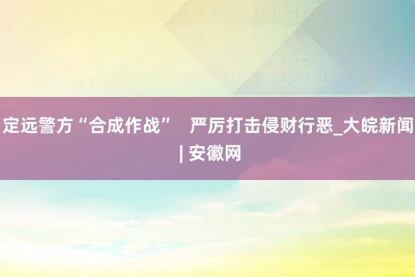 定远警方“合成作战”   严厉打击侵财行恶_大皖新闻 | 安徽网